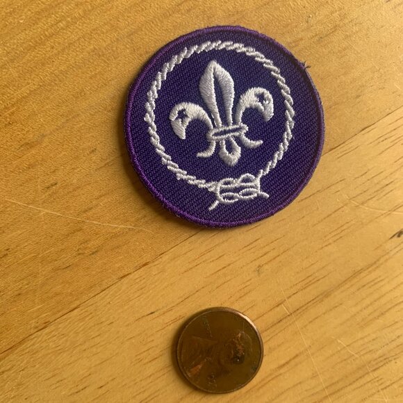 SCOUTS - NEW Boy Scouts Of America World Crest Insignia Patch, BSA, Cub Scouts - Picture 3 of 4